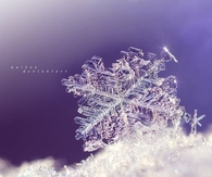 Shiny snowflake