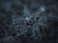 Glowing snowflake