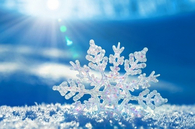 Snowflake in the snow