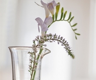 Beautiful beaker