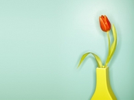 Neon orange tulip display