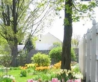 Spring blooms