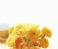 Cute yellow florals