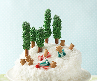 Sledding party cake