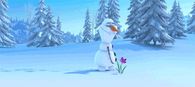 Flower in the snow
