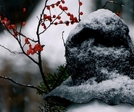 Holly snowman