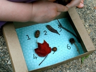 Collecting nature box