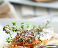 Salmon