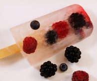 Frozen berry bars