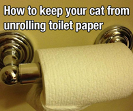 Keep your cat from unrolling toilet paper