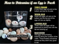 How to tell if your eggs are fresh