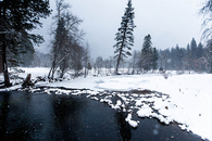 White winter