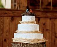 Rustic wedding cake