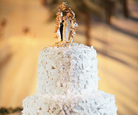 Winter wonderland cake