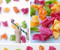 Colorful tissue backdrop