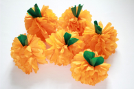 Pumpkin pompoms