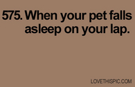 575-pets