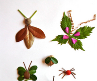 Nature elements bugs