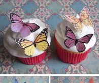 Edible butterflies