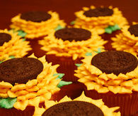 Sunflower cupcakes