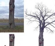 Cool street art