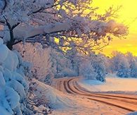 Lovely Snowy Day