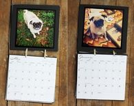 Instagram calendar