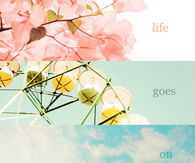 Life goes on