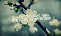 The in-between is mine