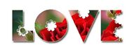 Love Gif
