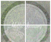 Hello january