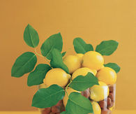 Citrus twist