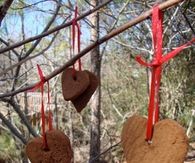 Cinnamon Hearts