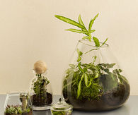 Terrarium garden