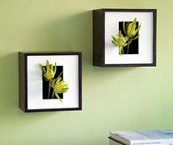 Shadowbox wall vase