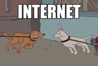 Internet vs. reality