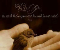 No act of kindness...