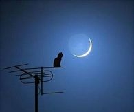 Good Night