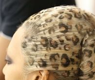 Outrageously animalistic hair