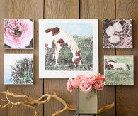 Photo transfer artwork