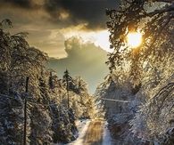 Sunshine in the dead of winter