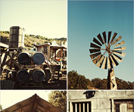 Country backdrop