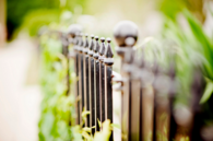 Wrought iron fence