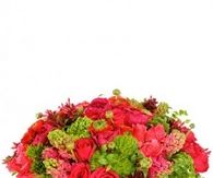 Rose carnation and orchid arrangement