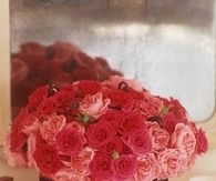 Roses in a ribbon box