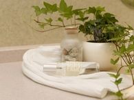 Ivy Plant
