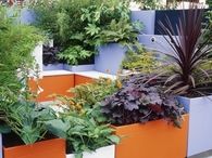 Plants as decor