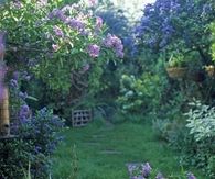 Vintage table garden