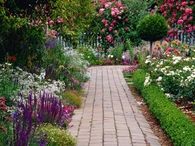 Mix and Match Garden