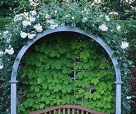 Architectural Garden